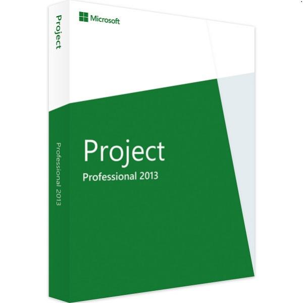 ms project professional 2013